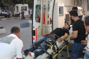Bursa'da hayvan tartışması kanlı bitti
