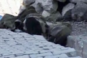 İşte Beyt&uuml;şşebap'taki &ccedil;atışma anı!