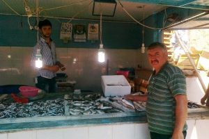 Sıcaklar balık satışını vurdu