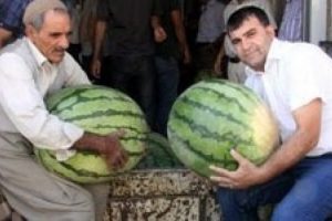Karpuzdaki b&uuml;y&uuml;k sır