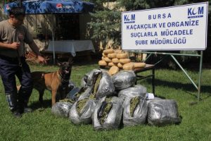 Bursa'da uyuşturucu operasyonu