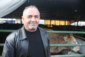Kurban fiyatları d&uuml;şecek