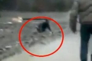 S&uuml;r&uuml;c&uuml; şans eseri kurtuldu