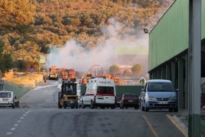 Zeytin fabrikasında yangın paniği