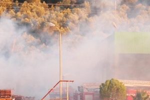 Zeytin fabrikasında yangın paniği