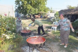 Mutfağın kınalı kuzusu sal&ccedil;a