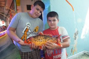 İznik G&ouml;l&uuml;'nde neler oluyor?
