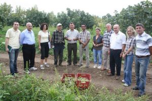 Bursa siyah inciri "ABD sınavını" başaracak