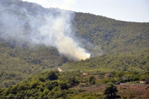 Yalova'da korkutan yangın