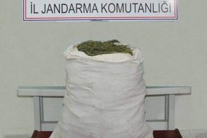Diyarbakır'da uyuşturucu operasyonu