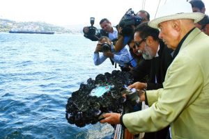 Struma 70 yıl sonra su y&uuml;z&uuml;ne &ccedil;ıktı