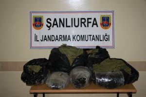 Jandarmadan uyuşturucu operasyonu