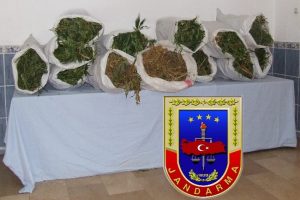 Jandarmadan uyuşturucu operasyonu