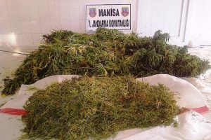 Jandarma uyuşturucuya ge&ccedil;it vermiyor