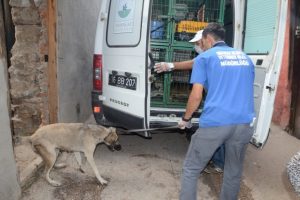 Yaşlı kadının evindeki sokak hayvanları toplandı
