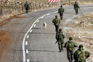 Şemdinli'de 7 taburla dev operasyon