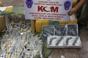Polisden oyuncak operasyonu