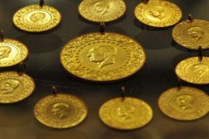 Altına ne kadar para ka&ccedil;tı?