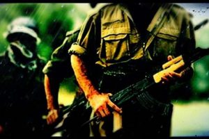 Son operasyonlarda PKK'ya ağır darbe