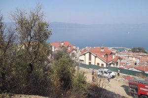 Mudanya'da zeytinlikte yangın