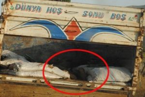 Karakola saldıran hainler &ouml;ld&uuml;r&uuml;ld&uuml;