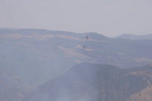 Arazi yangını korkuttu