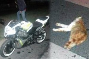 Motorcu gencin acı sonu