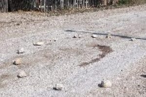 Şeker hastası yolda giderken hayatını kaybetti