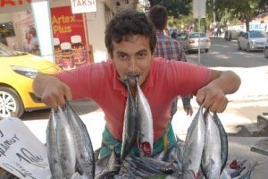 Karadeniz'de palamut bolluğu