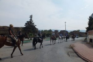 Atlı &Ccedil;elebiler kaza yaptı