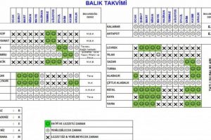 "Balık Takvimi"ne bakmadan balık almayın