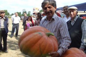45 kiloluk kabak yetiştirdi