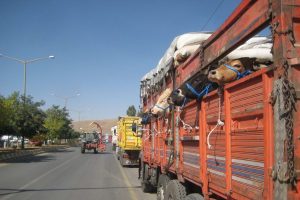 Kurbanlık hayvanların sevki başladı