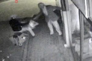 Pişkin hırsız b&ouml;yle yakalandı