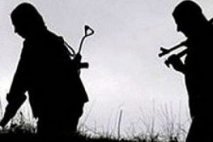 PKK'nın ka&ccedil;ırdığı Hakkari AK Parti il başkanı serbest