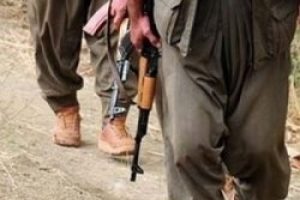 Van'da eylem &ouml;ncesi keşif yapan PKK'lı yakalandı