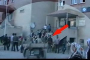 At arabası &uuml;zerinde her g&uuml;n 6 km yol gidiyorlar