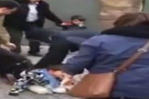 K&ouml;pek dehşeti saniye saniye kamerada