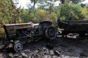 Tarlada alev alan traktör ormanı yaktı
