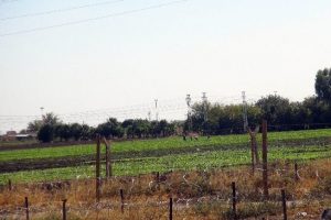 Nusaybin sınırında sessiz bekleyiş