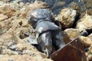 'Mehmet&ccedil;ik'i bir g&uuml;n sonra denize attılar