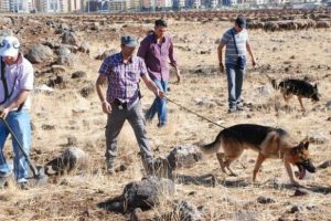 Diyarbakır'da 4 ter&ouml;rist yakalandı