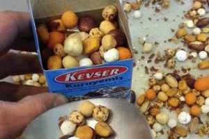 D&uuml;ğ&uuml;n kuruyemişleri kutuya girdi