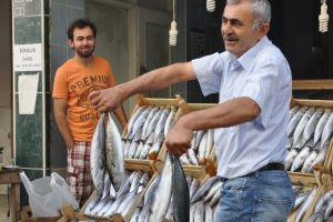 Balık bollaştı, palamut ucuzladı