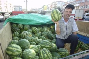 Yılın son karpuzları satışa &ccedil;ıktı