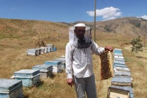 Hizan'da soğuk hava bal verimini d&uuml;ş&uuml;rd&uuml;