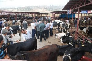 Bayramda kalpazan mağduru olmayın