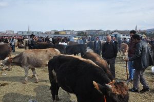 Kurban pazarında hareketli g&uuml;nler