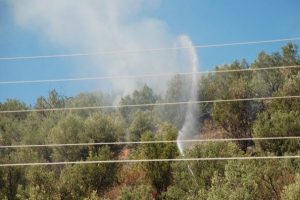 Zeytinlikte &ccedil;ıkan yangın korkuttu