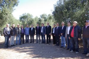 &Uuml;nl&uuml;ler Ayvalık'ta zeytin hasadı yaptı